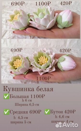 Пищевые силиконовые молды кувшинки