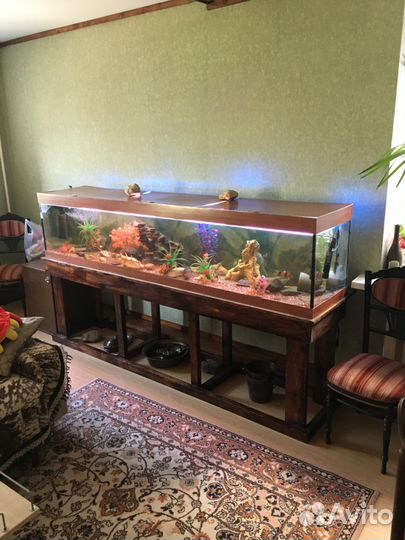 Аквариум босу в кабинет 520л равных нет