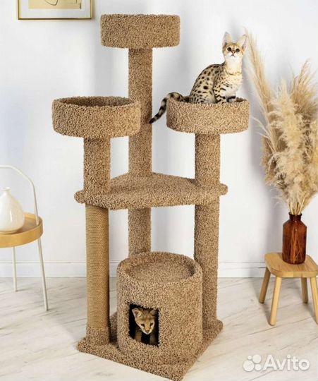 Когтеточка домик для кошки