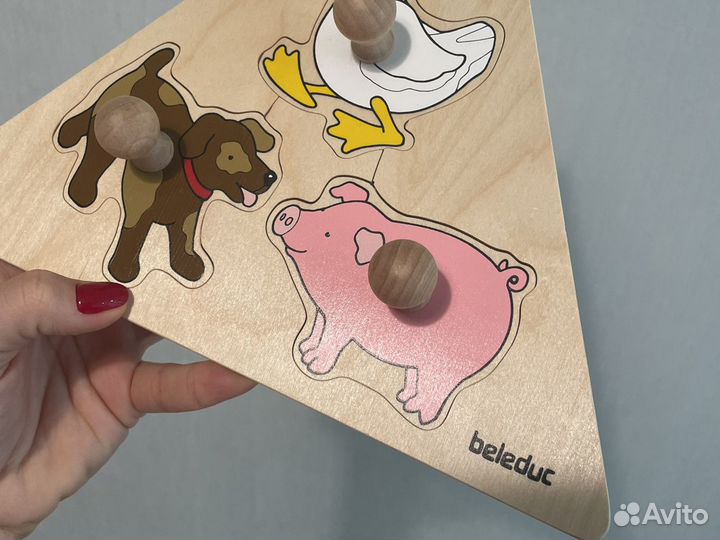 Сортер beleduc новый