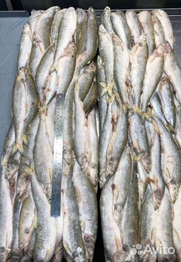 Икра, краб, креветка, рыба, морепродукты оптом