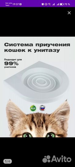 Система приучения кошек к унитазу