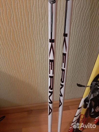 Горные лыжи