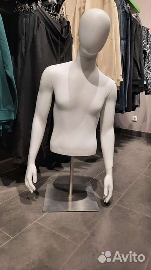 Торсы мужские, женские