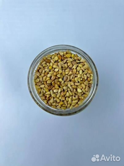 Шиповник / Семечки шиповника