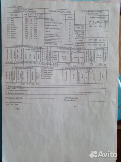 Продам корову