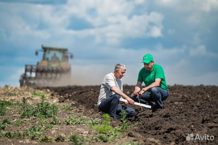 Услуги агронома