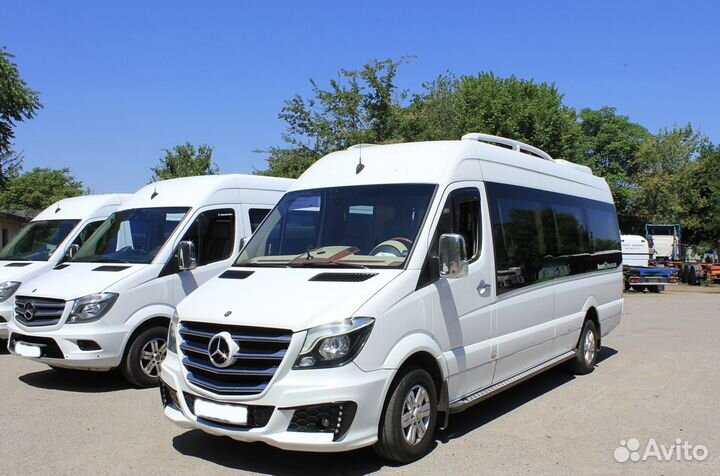 Перевозка детей, Заказ автобуса от 20 до 50 мест