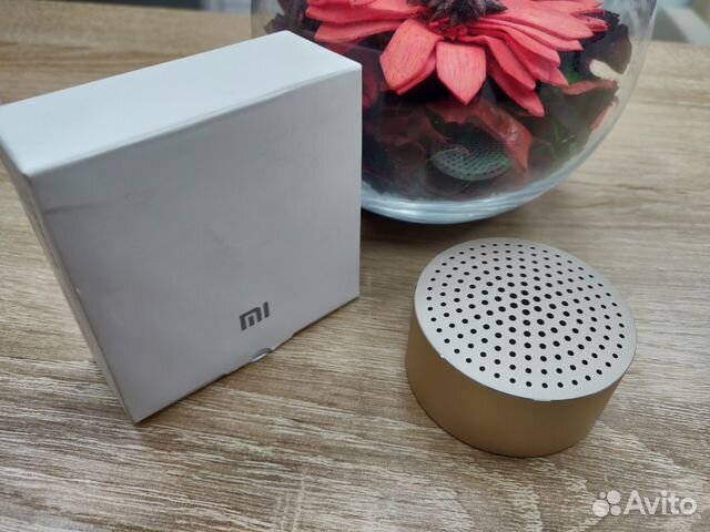 Xiaomi little Audio Silver.