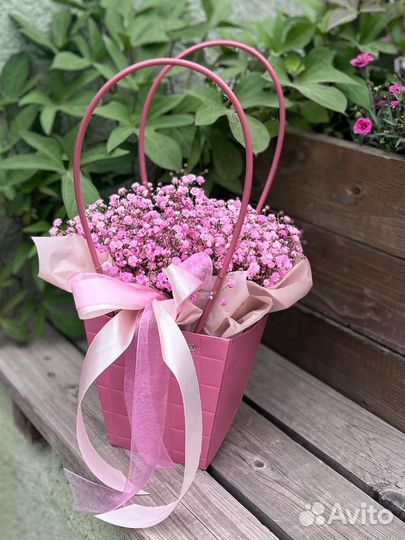 Гипсофила в коробке