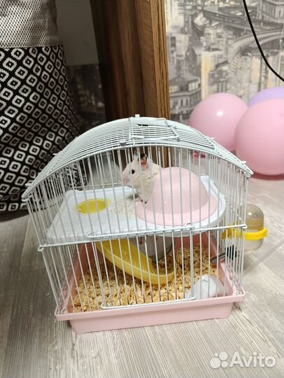 Клетка для грызунов маленькая