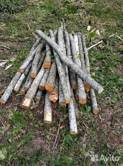 Дрова кругляк
