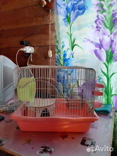 Клетка для грызунов