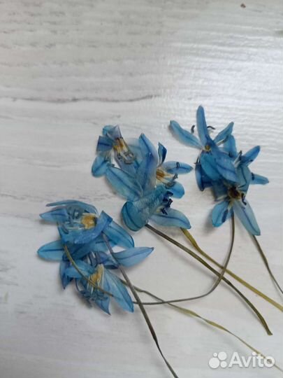 Продаю цветы для творчества