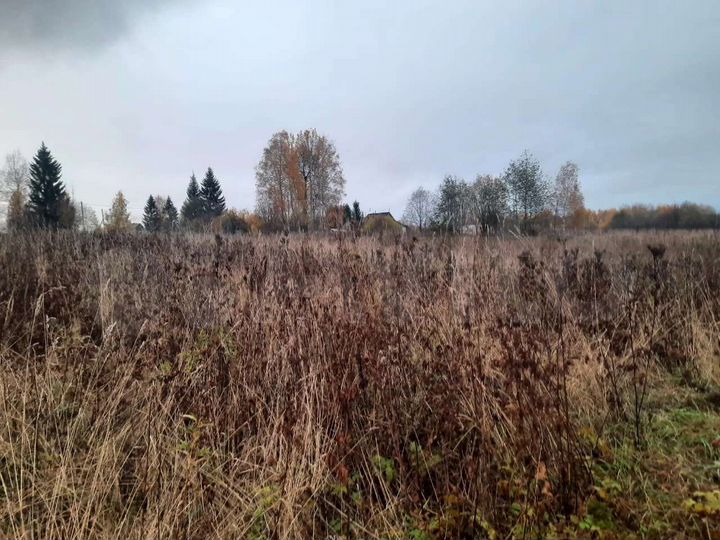 Участок 40 сот. (ИЖС)