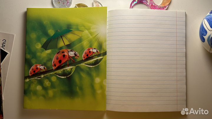 Тетради в линейку 48 и 96 листов