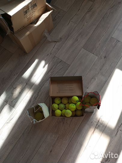 Мячи для большого тенниса