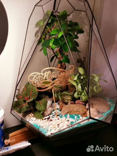 Большой Флорариум бонсай 
