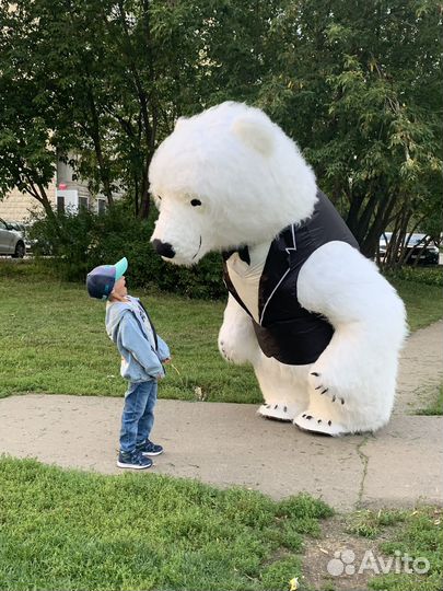 Поздравление от Белого Мишки