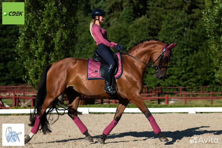 Вальтрап выездковый от Equestrian Stockholm