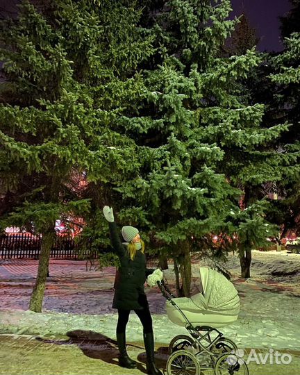 Коляска adamex catrina 2в1