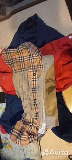 Комбинезон для таксы