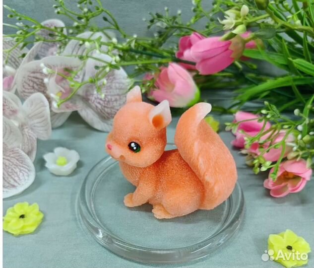 Подарочное издание