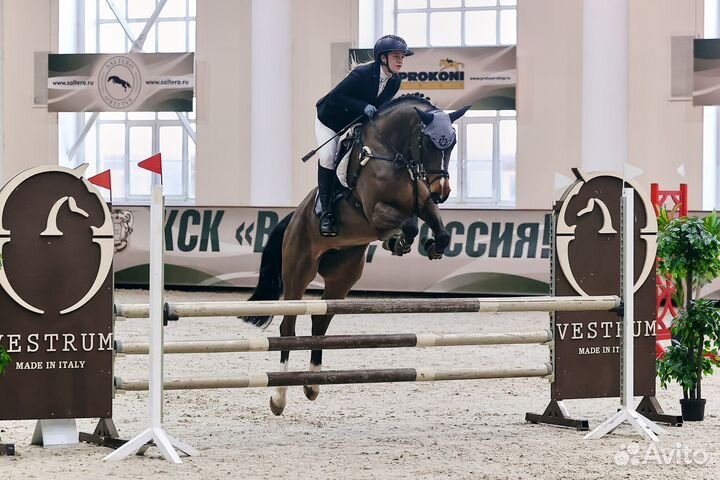 Продается кобыла 6 лет