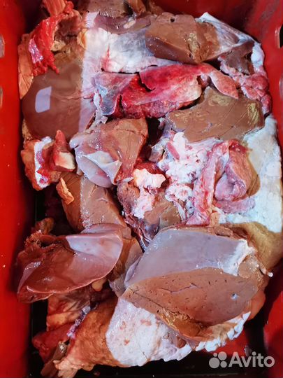 Мясо говядина для собак, всегда в наличии