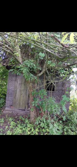 Участок 6 сот. (СНТ, ДНП)