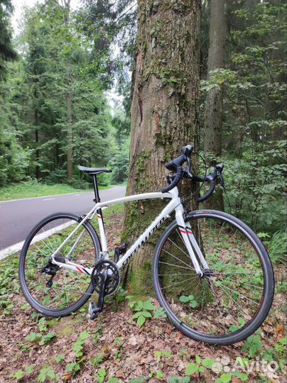 Шоссейный велосипед specialized allez