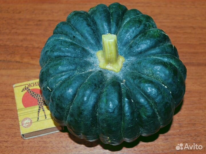 Тыква Кикудза японская хризантема