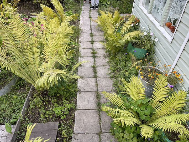 Дача 30 м² на участке 6 сот.