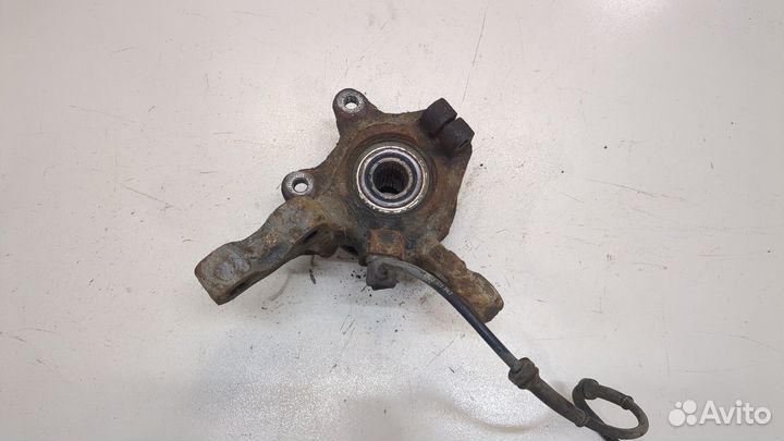 Ступица (кулак, цапфа) Renault Clio, 2004