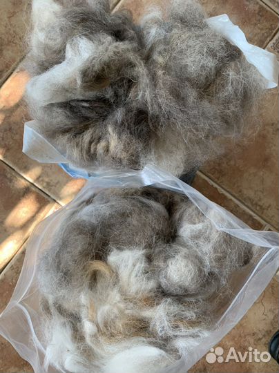 Продам шерсть собачью