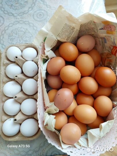 Продукты питания