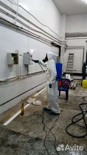 Уничтожение тараканов клещей ос