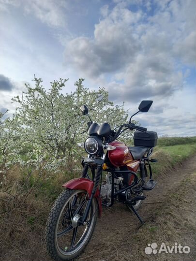 Альфа Спорт