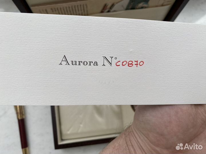 Ручка перьевая Aurora Leonardo da Vinci Bordeaux