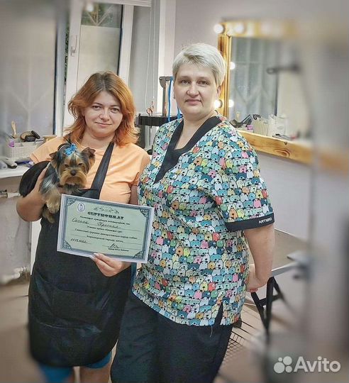 Обучение стрижке собак с ноля, Мастер-классы