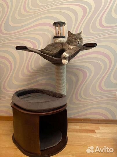 Когтеточка с домиком и гамаком