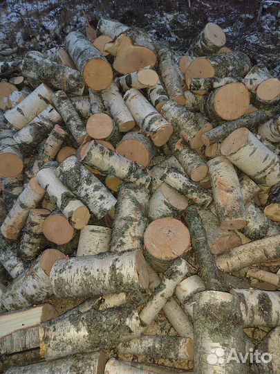 Дрова чурками, берёза, берёза
