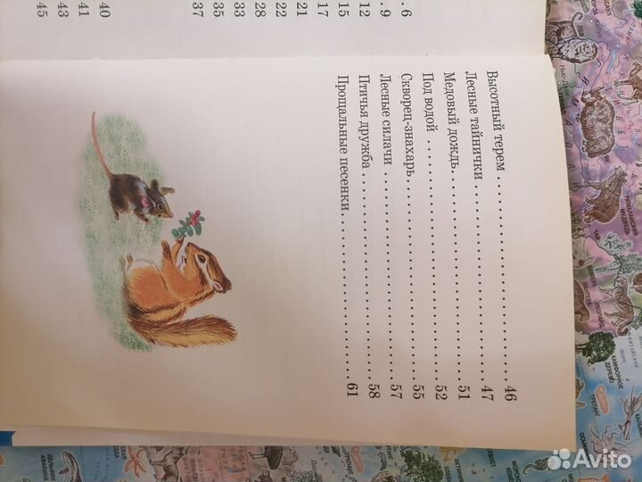 Книга Бюро лесных услуг