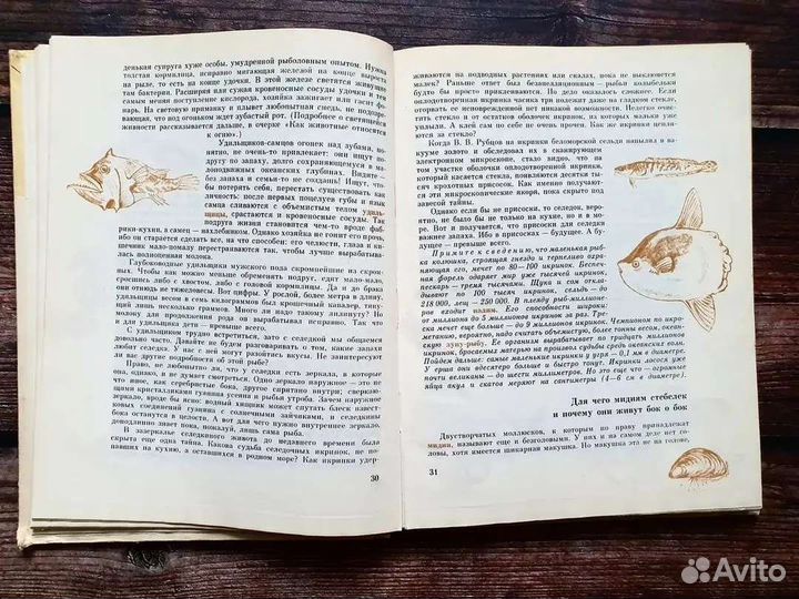 Зачем барану рога, а воробью розовые очки