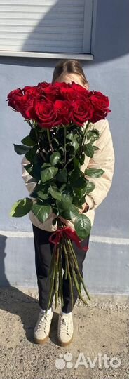 Высокие длинные розы гиганты