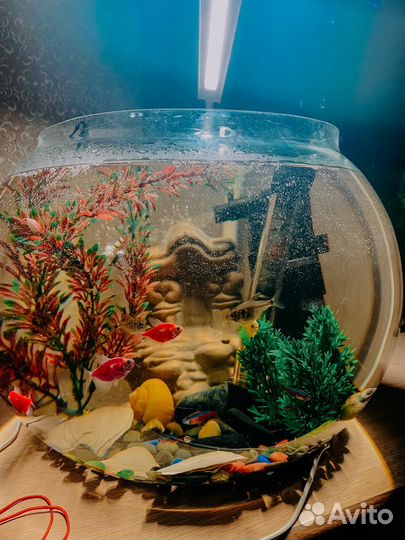 Аквариум