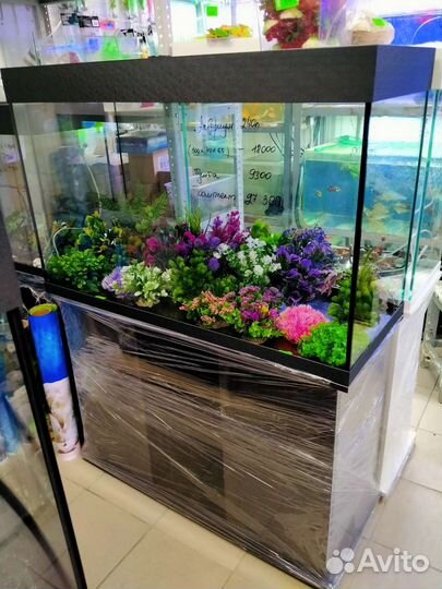 Аквариумы, море, рыбки, оборудование