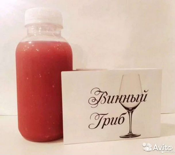 Винный гриб