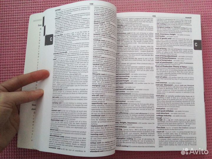 Longman business english dictionary