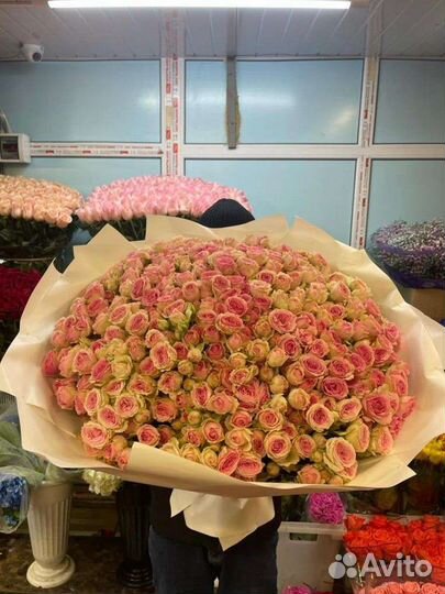 101 роза кустовая букет цветов доставка девушке